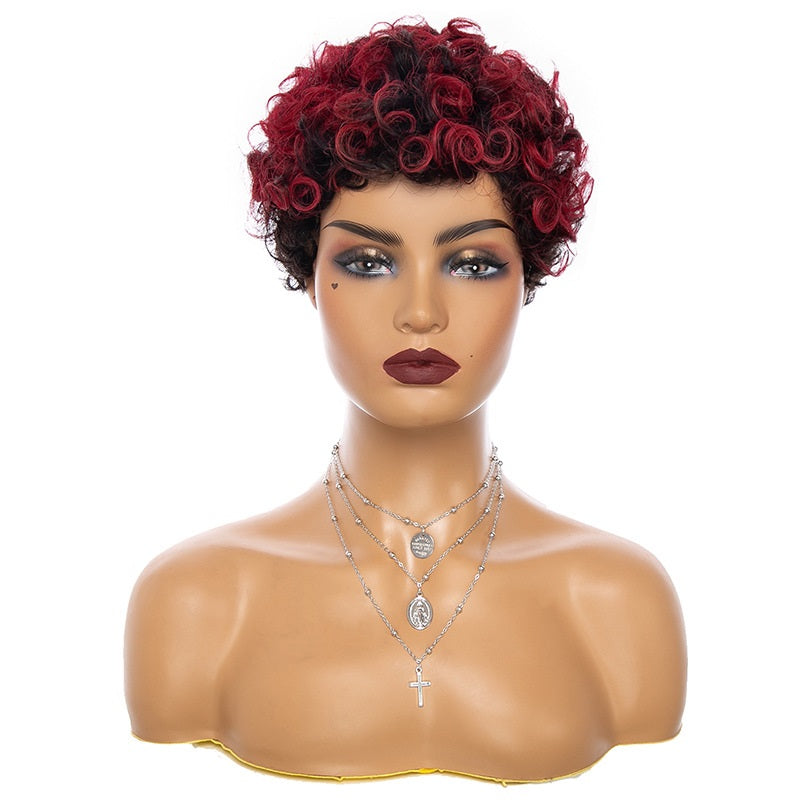 Real Human Curly Hair Wig - JWHL FASHION