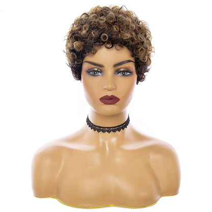 Real Human Curly Hair Wig - JWHL FASHION