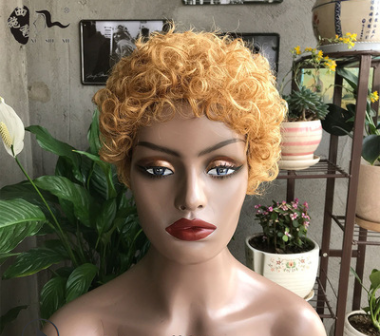 Real Human Curly Hair Wig - JWHL FASHION